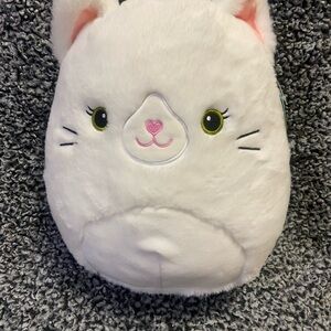 Kelsey the Fuzzy White Persian Cat